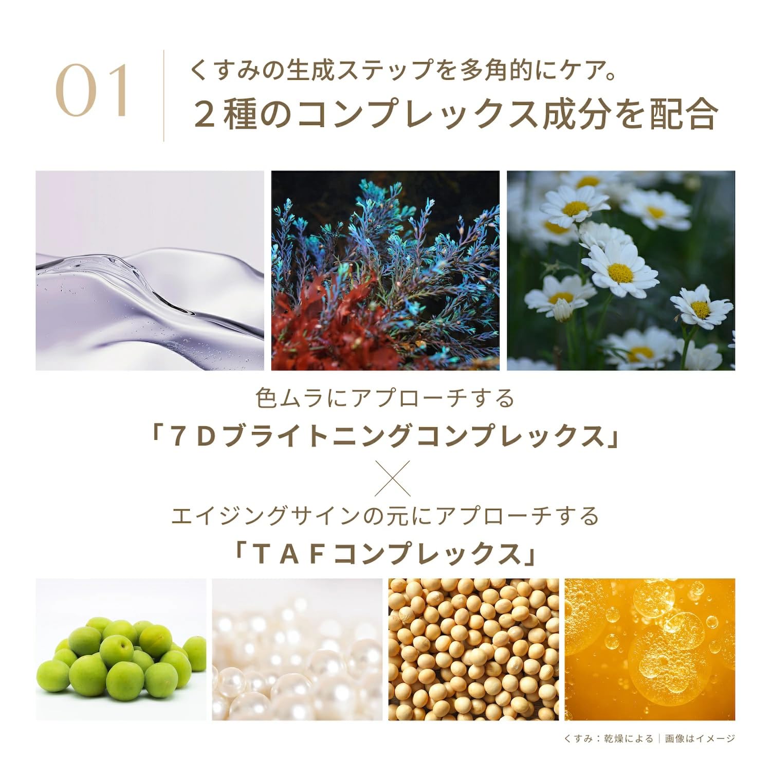 Amazon.co.jp: FATUITE 【お試しサイズ 】ブライテスト ファースト